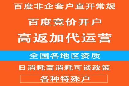 百度品牌专区推广：打造品牌形象的新途径